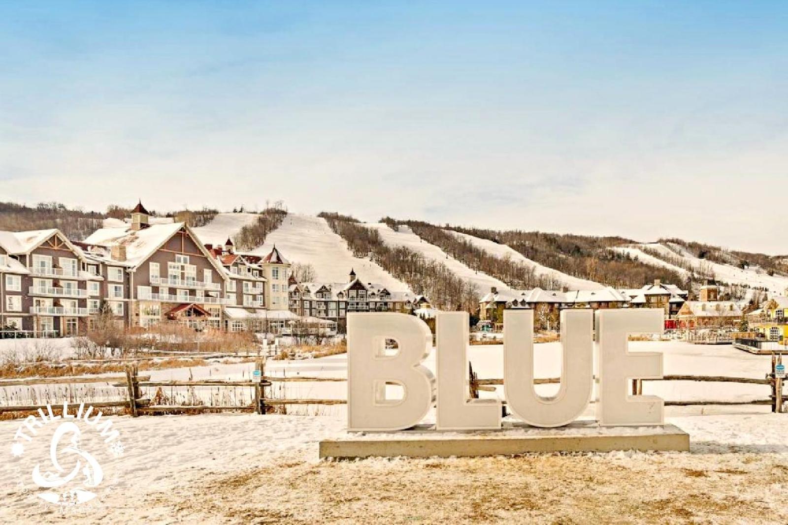 Blue Mountain, Collingwood - Loft Condo, Sleeps 4 บลูเมาเทนส์ ภายนอก รูปภาพ