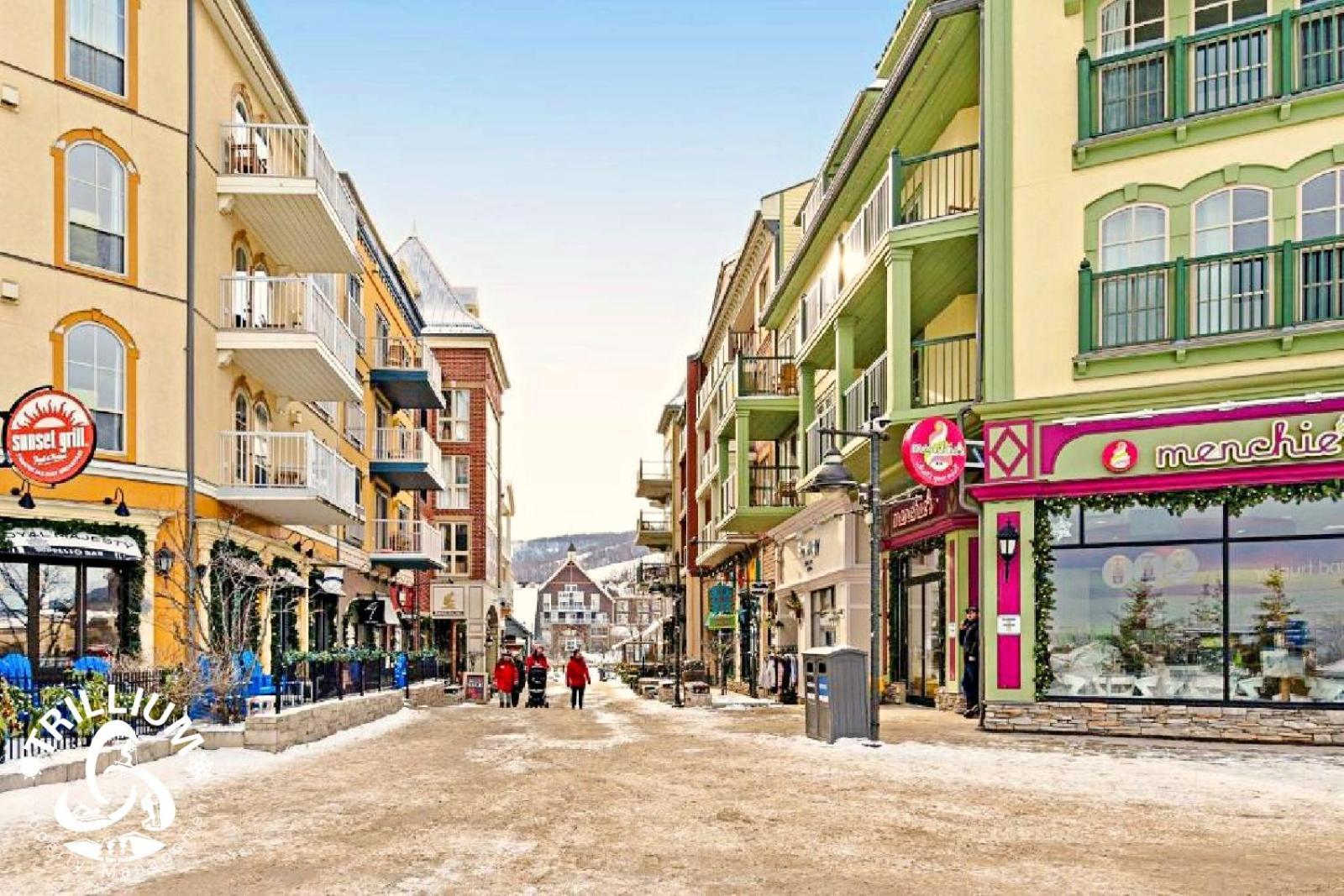 Blue Mountain, Collingwood - Loft Condo, Sleeps 4 บลูเมาเทนส์ ภายนอก รูปภาพ